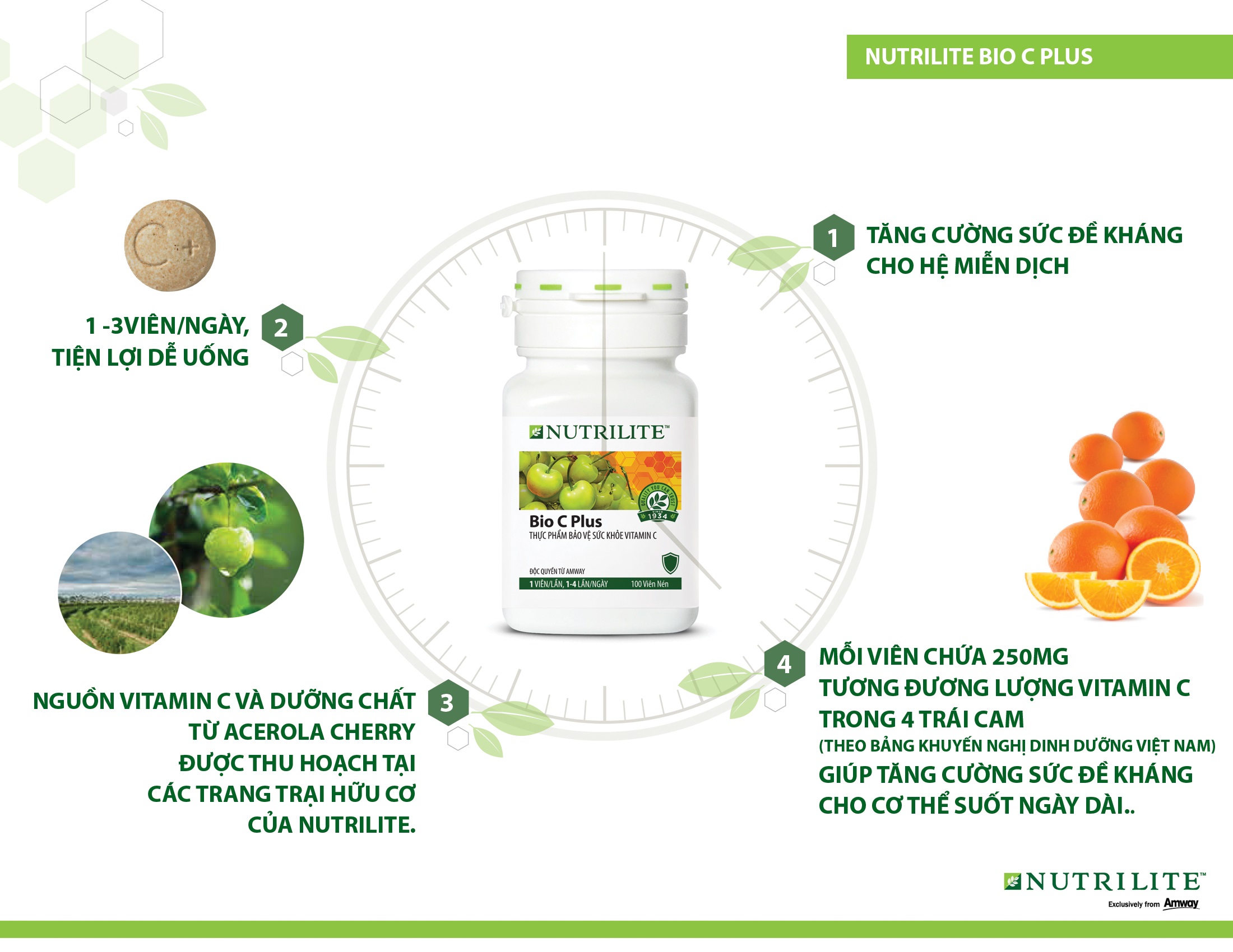Tác Dụng của Vitamin C Amway Nutrilite Bio C Plus Có Gì Đặc Biệt?